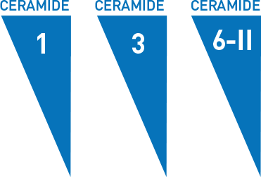 Ceramides 1, 3, 6-II