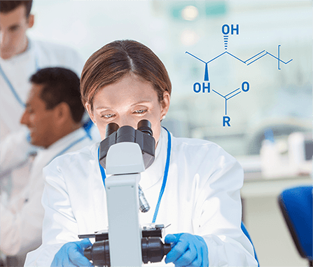 Ceramide Chemical Structure